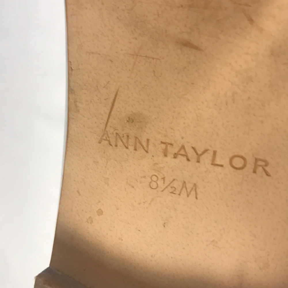 Ann Taylor sleek silver